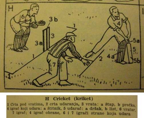 201702_cricket