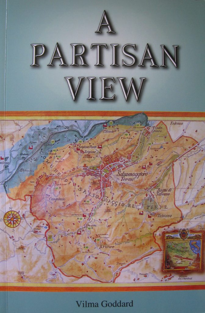 Front cover of A partisan view